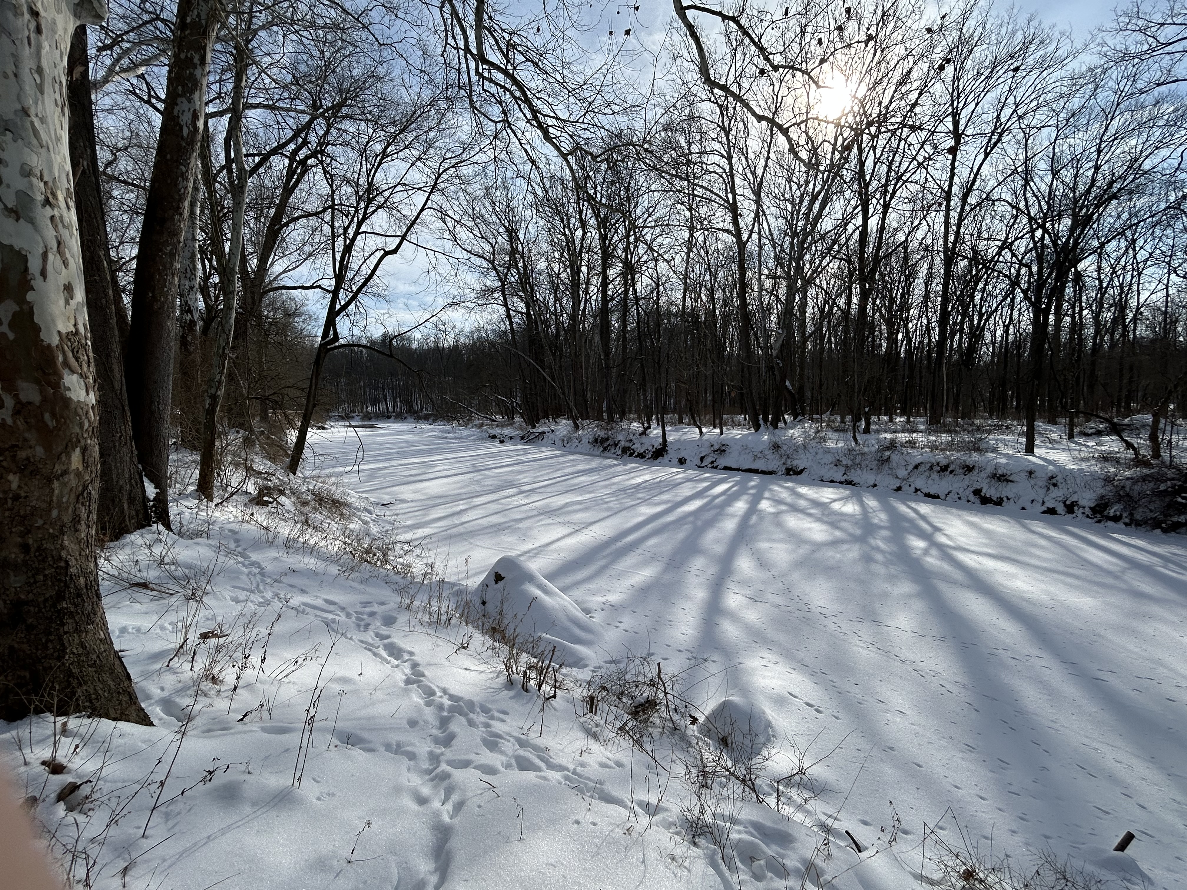 Winter boardwalk and river